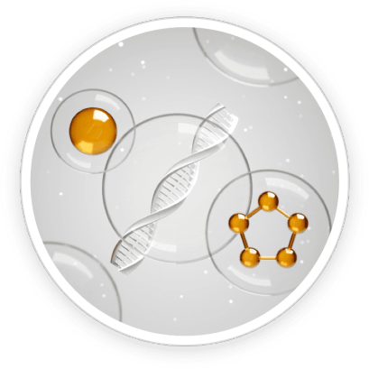 DigestSync